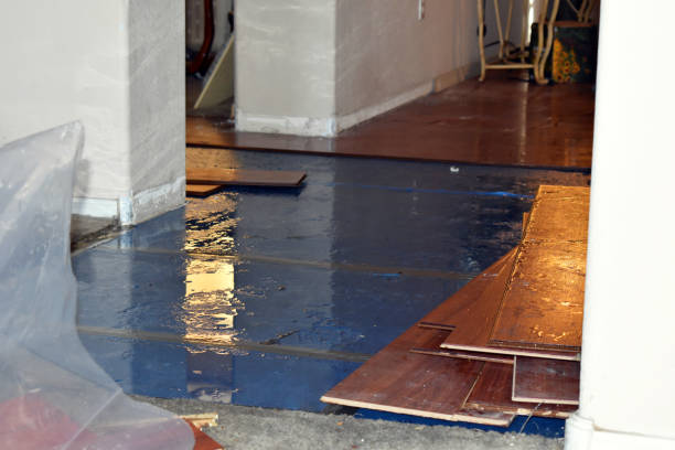 Professional Flood Damage Repair technician working in Linden, NJ